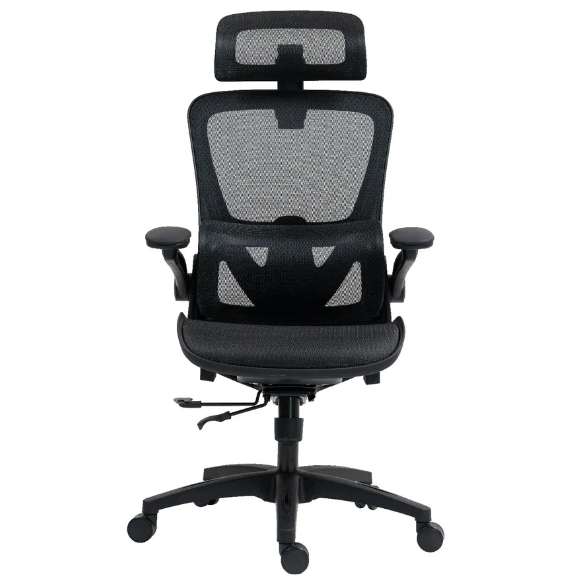 ืชืืื ืช ืืืฆืจ 1