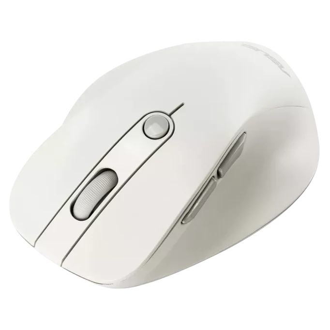 תמונת מוצר 4