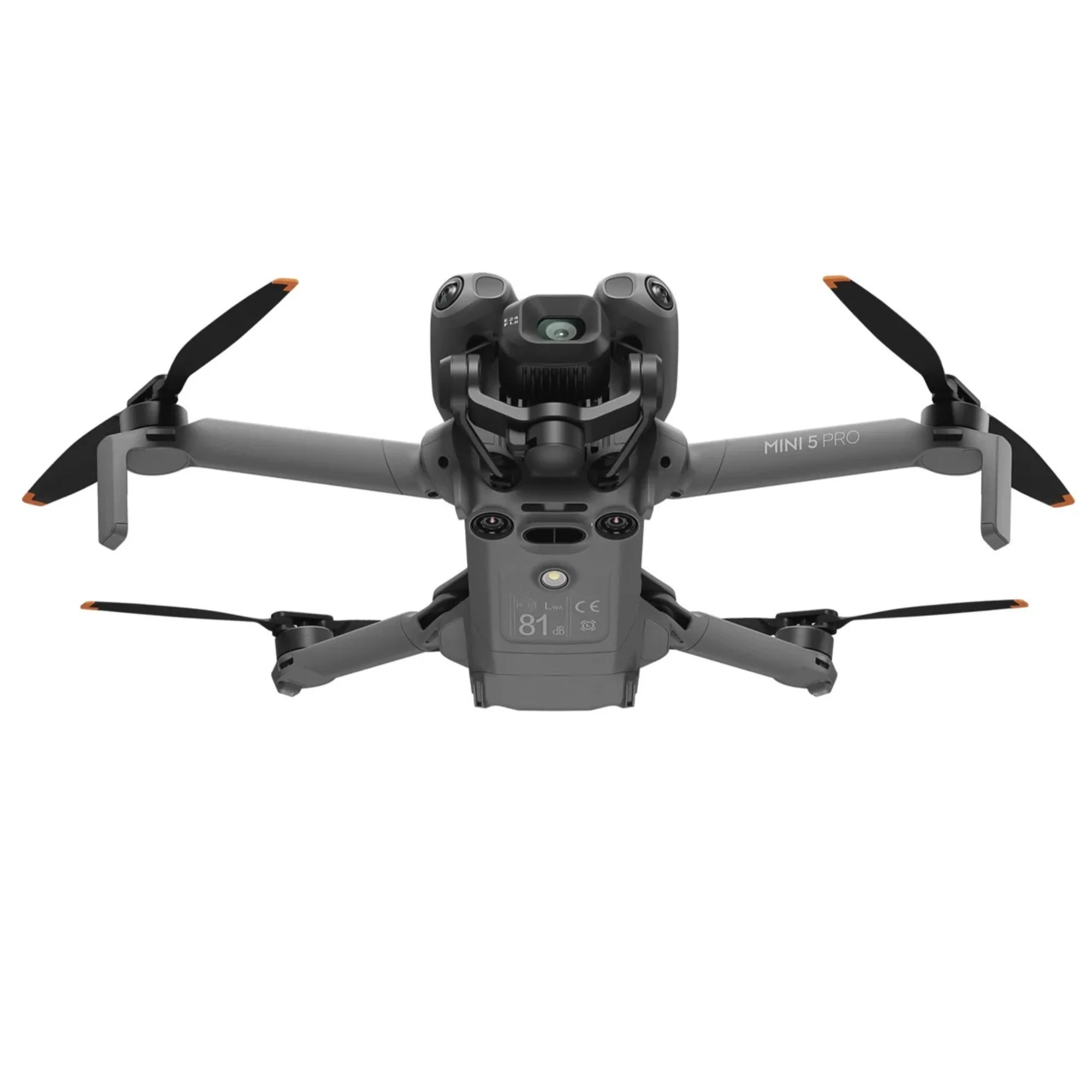תמונה ממוזערת 2